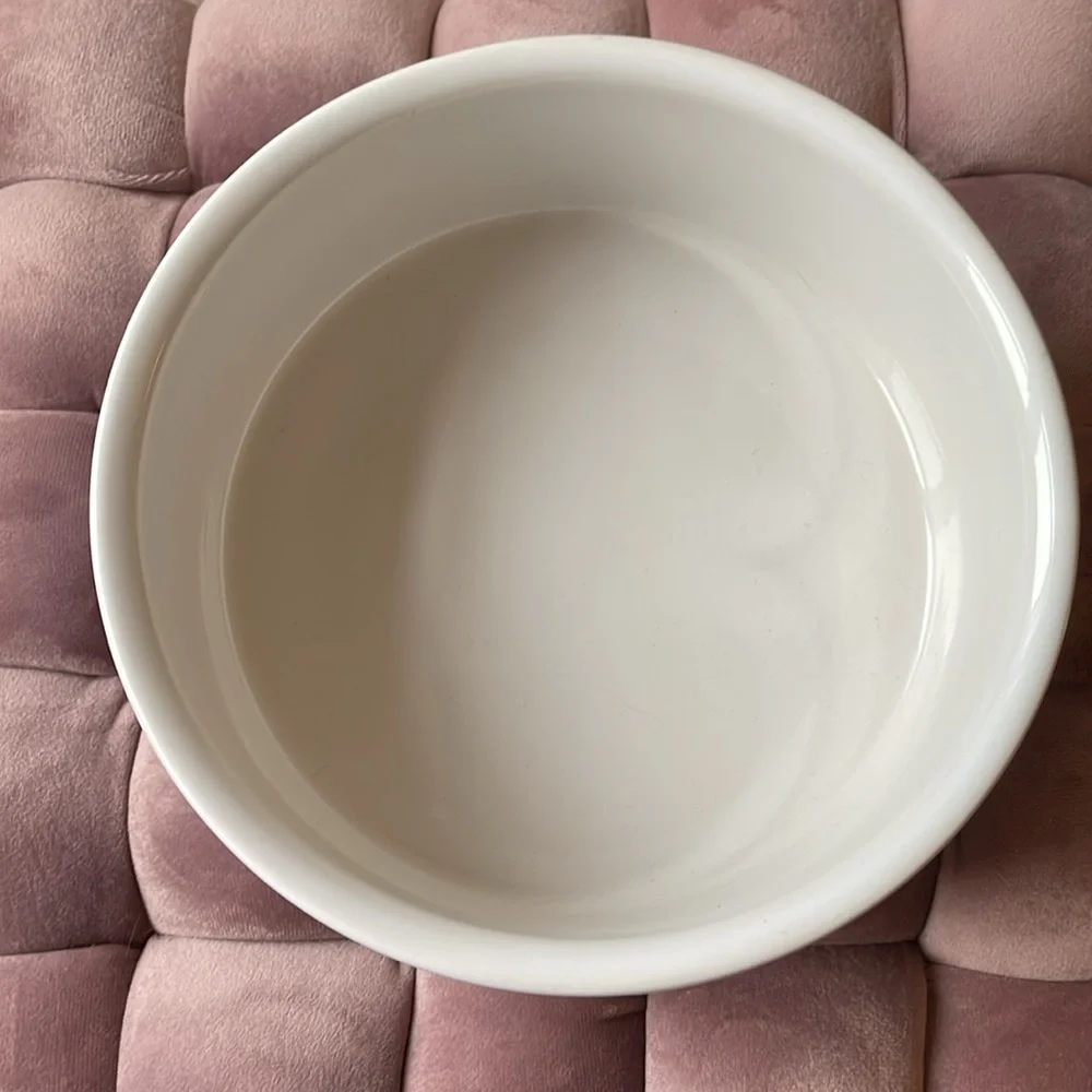 Ceramic Dog Bowl with blue ocean coral print on pink background